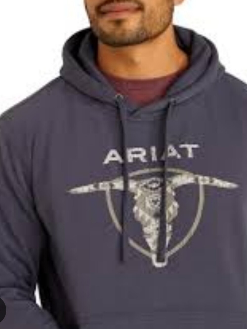 ARIAT Men's Southwestern Longhorn Hoodie Sweatshirt in Grey